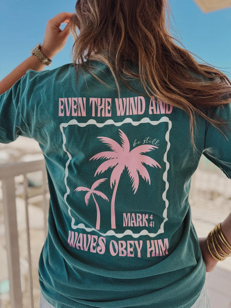 Even the Wind & Waves Obey Him