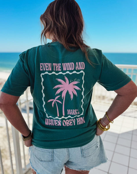 Even the Wind & Waves Obey Him