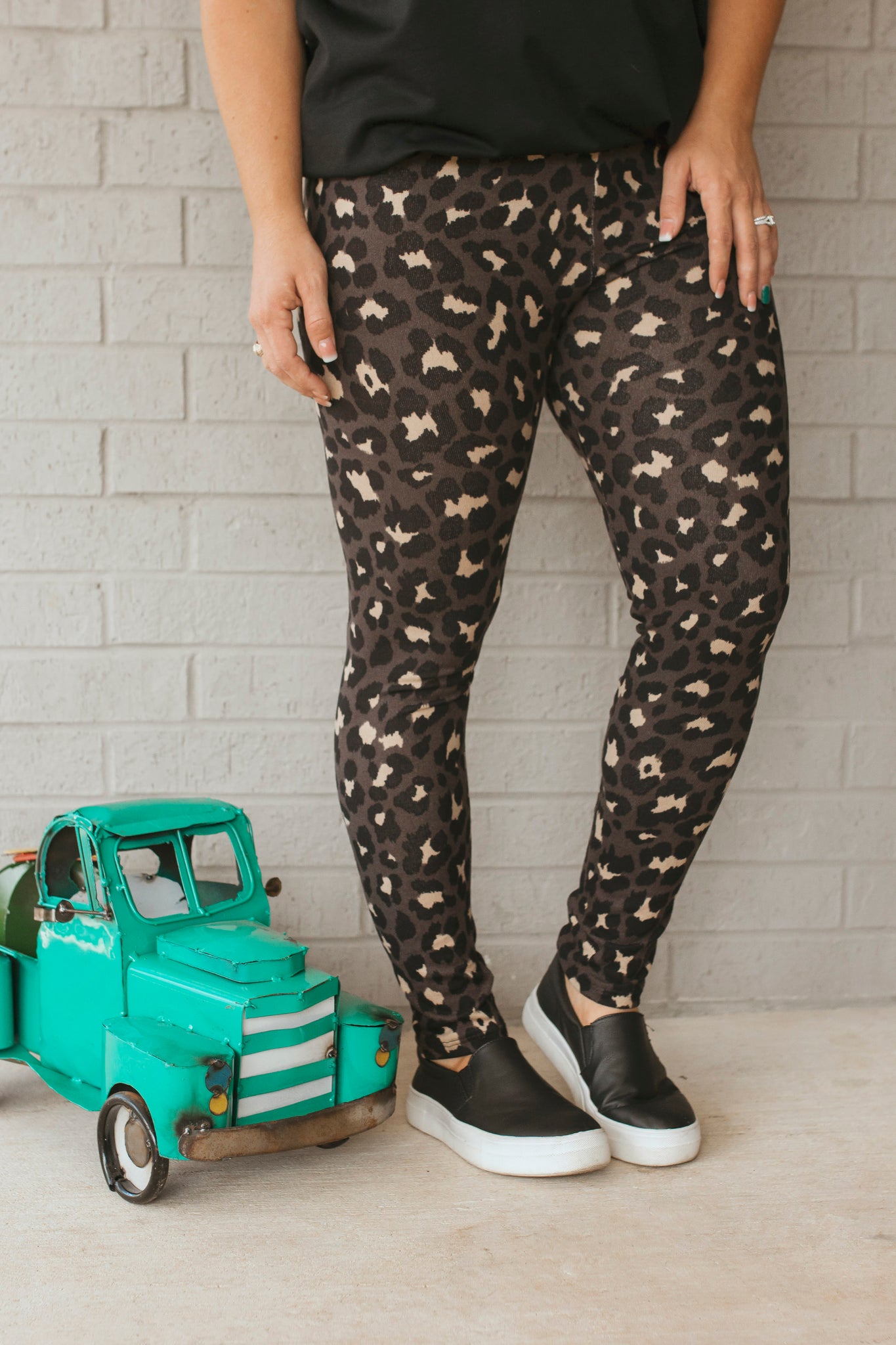 The Miranda Cheetah Loungers
