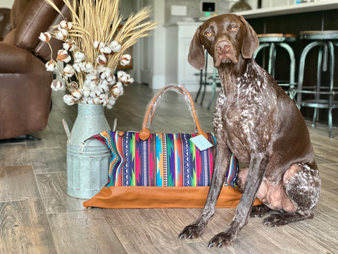 Serape Weekender Tote